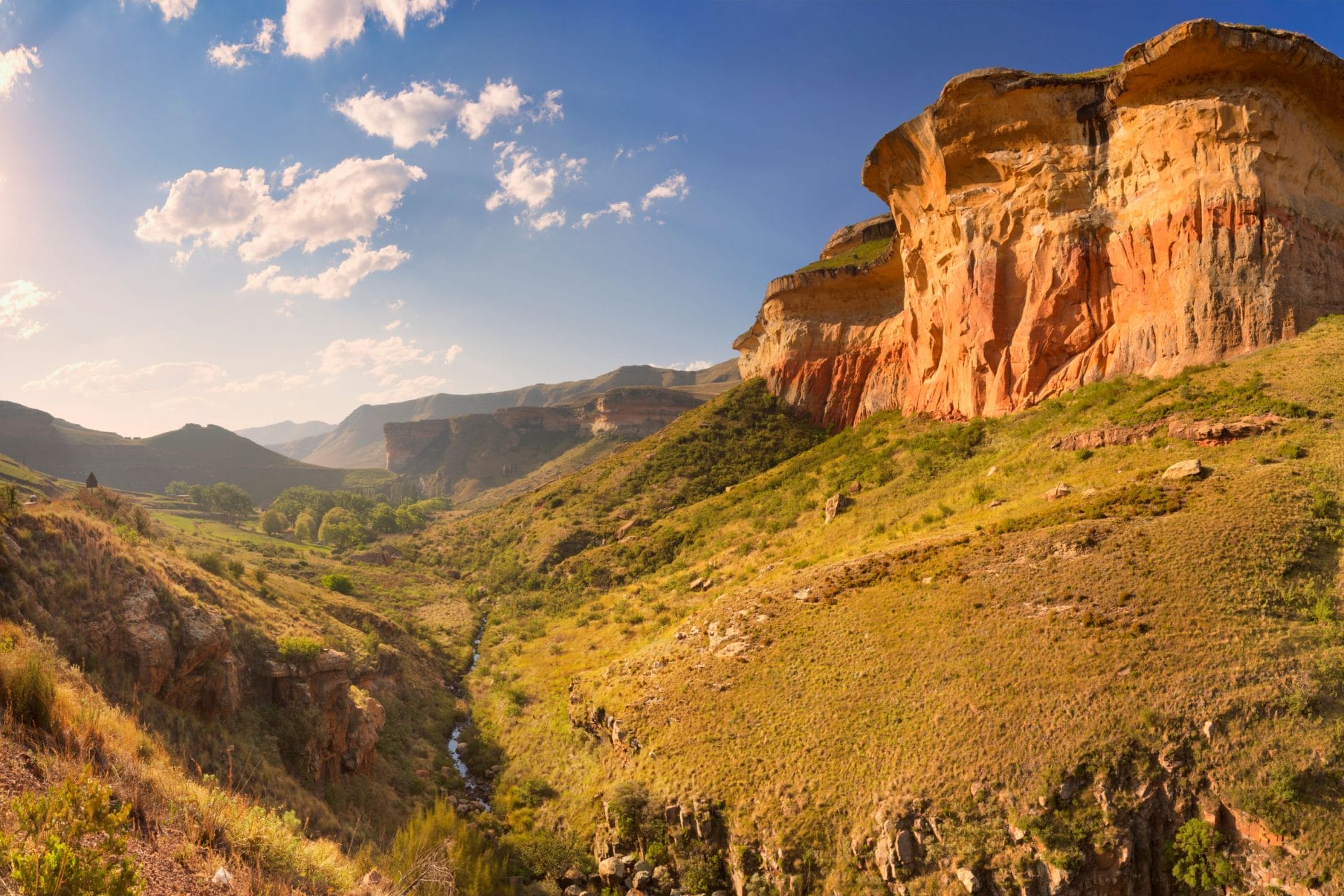 Free State