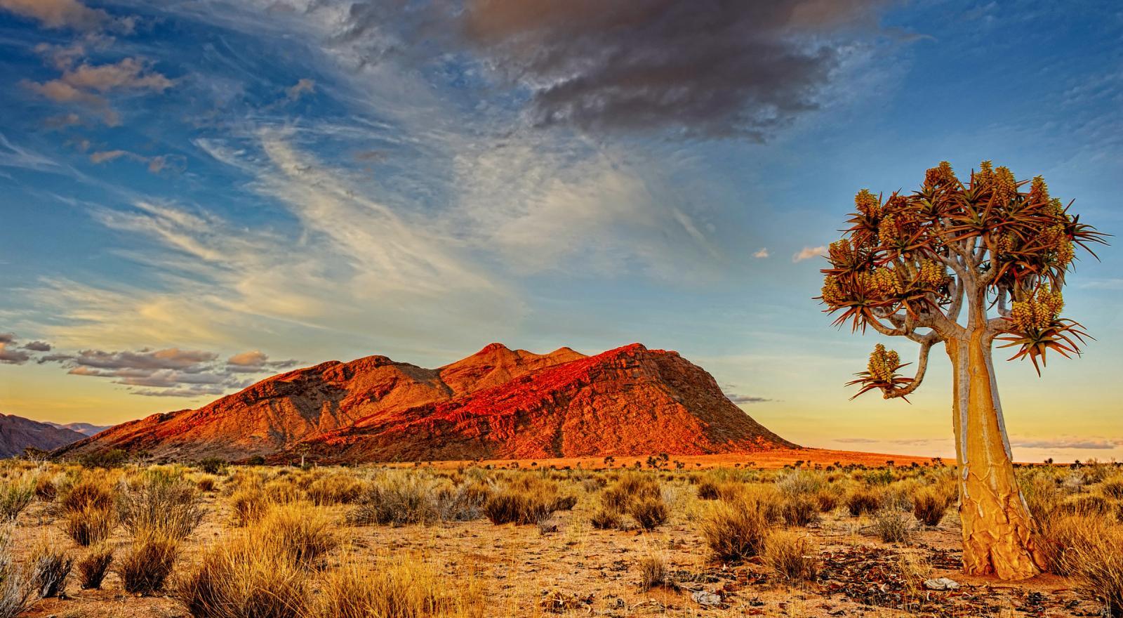 Northern Cape