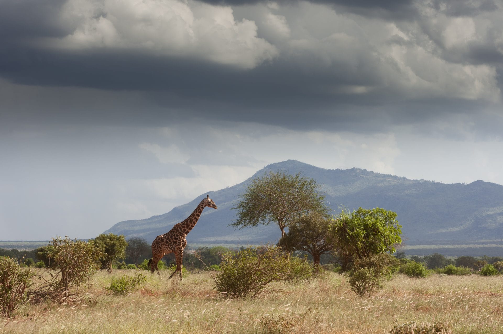 Kenya